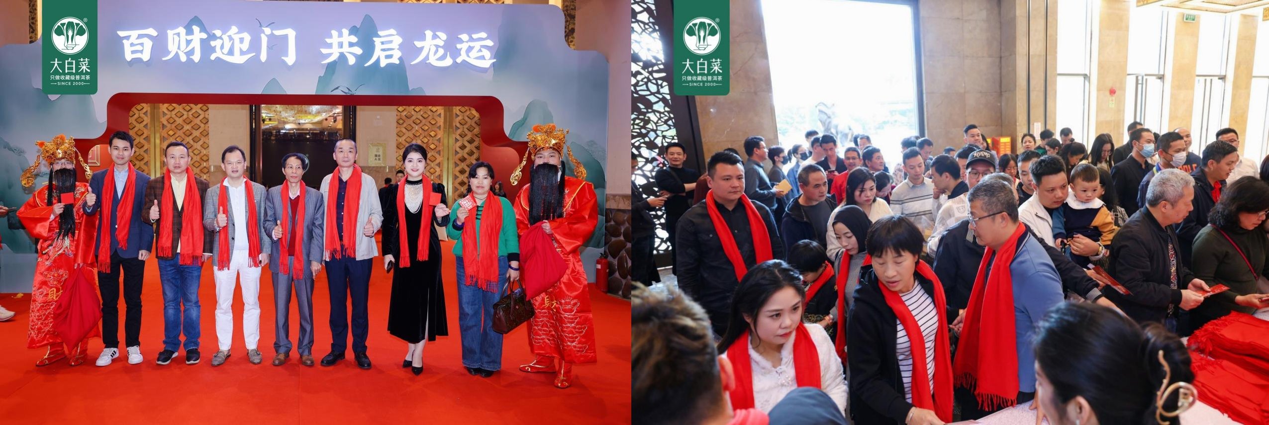 聚才启航 共迎百财——大白菜普洱茶2024年度盛典图1
