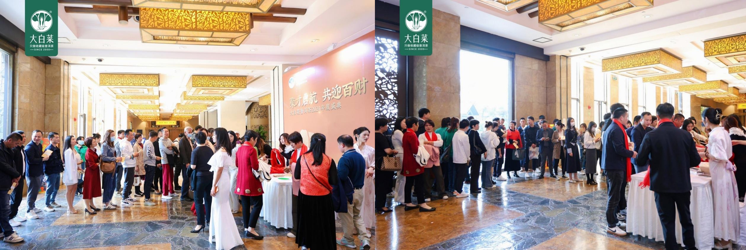 聚才启航 共迎百财——大白菜普洱茶2024年度盛典图2