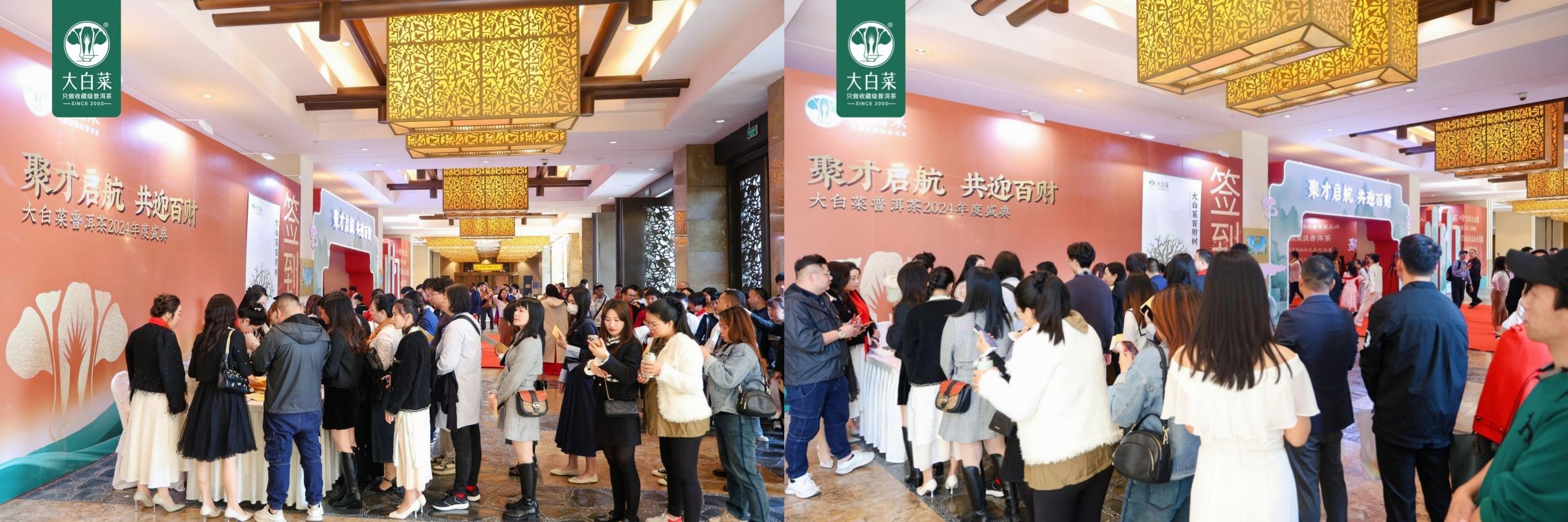 聚才启航 共迎百财——大白菜普洱茶2024年度盛典