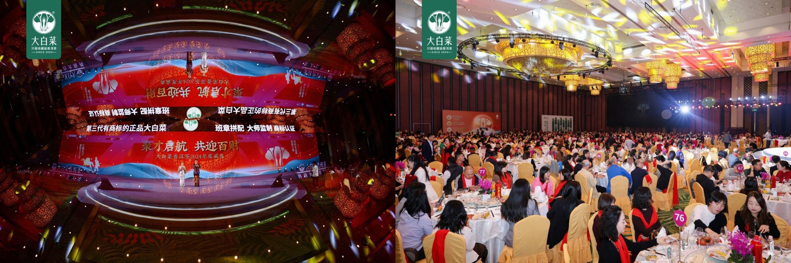 聚才启航 共迎百财——大白菜普洱茶2024年度盛典