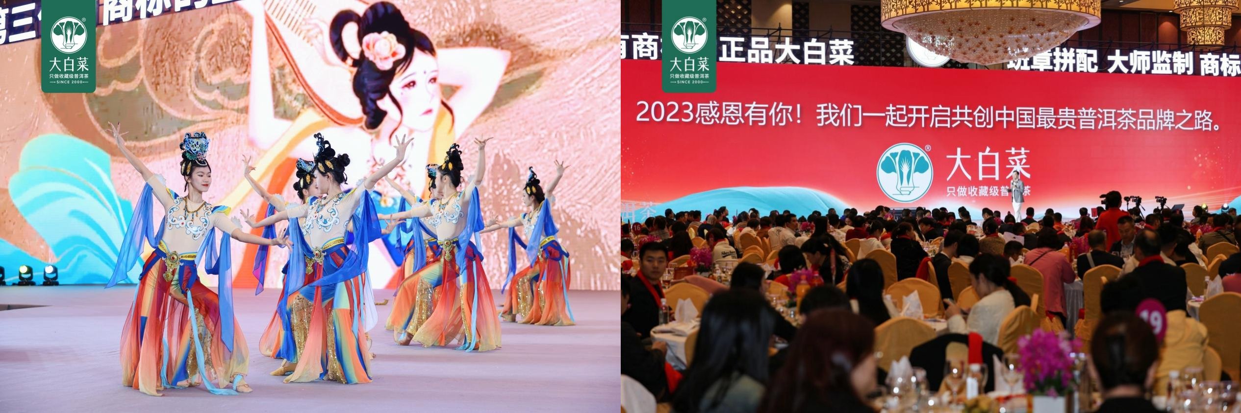 聚才启航 共迎百财——大白菜普洱茶2024年度盛典