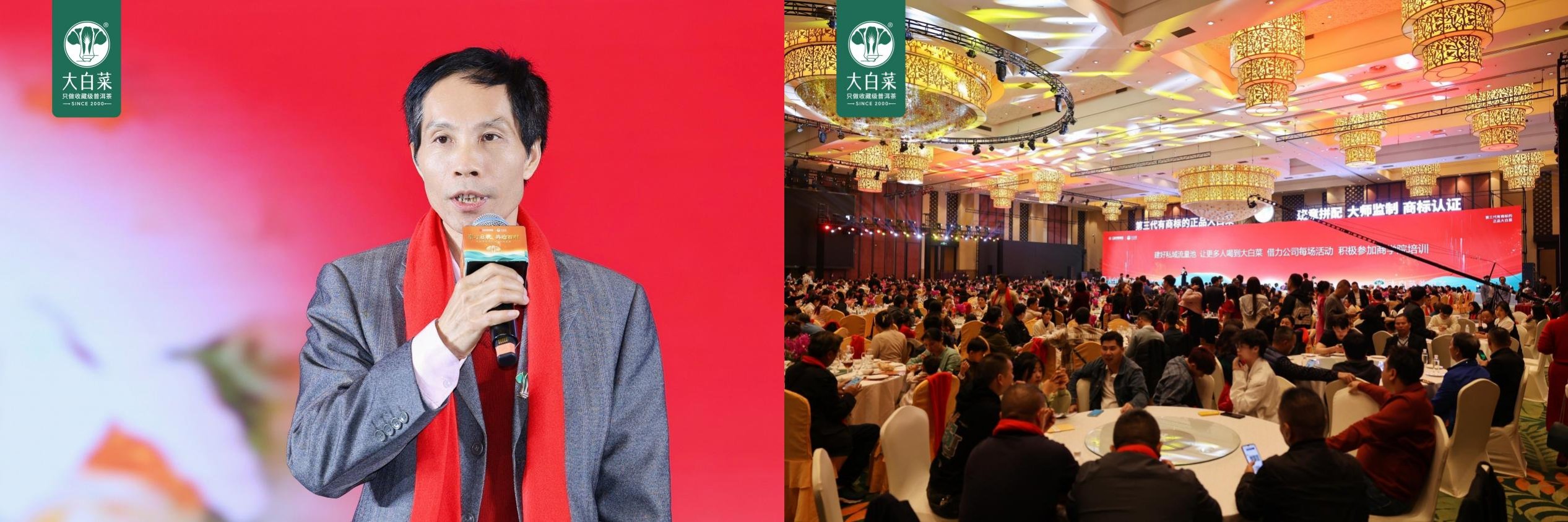聚才启航 共迎百财——大白菜普洱茶2024年度盛典