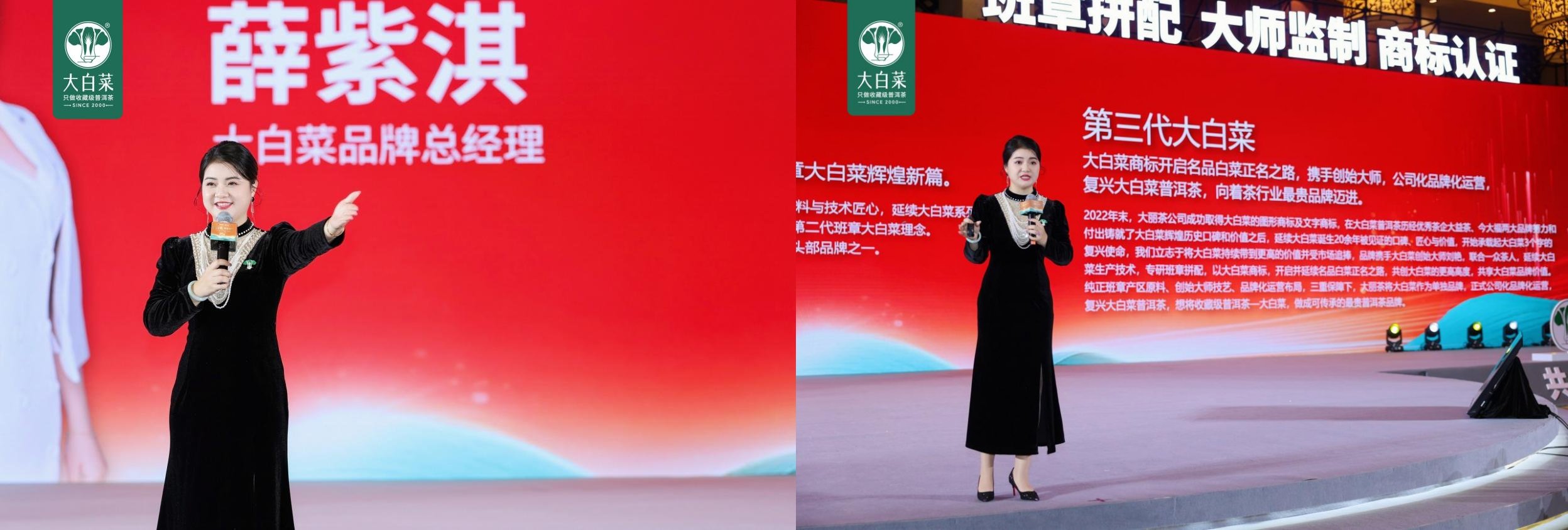 聚才启航 共迎百财——大白菜普洱茶2024年度盛典