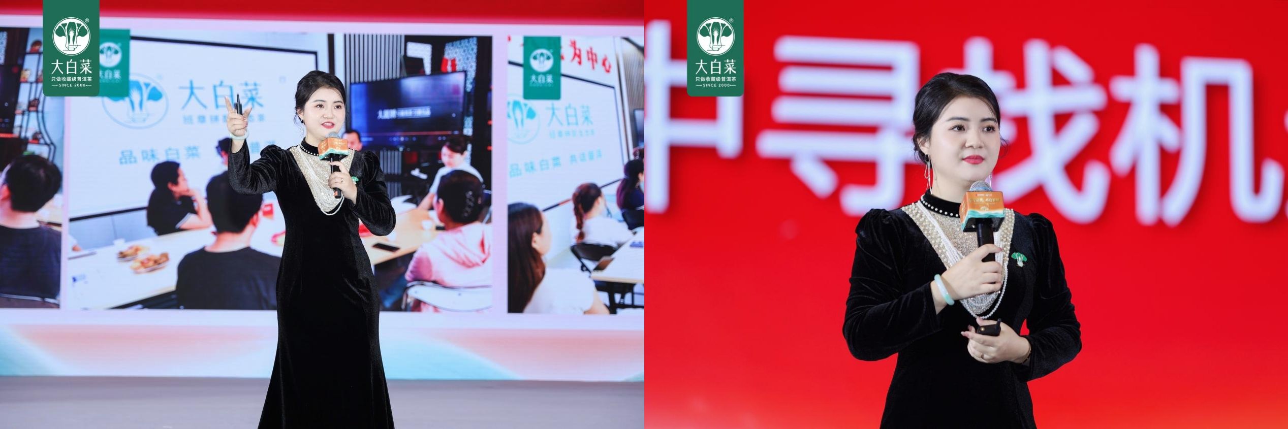 聚才启航 共迎百财——大白菜普洱茶2024年度盛典