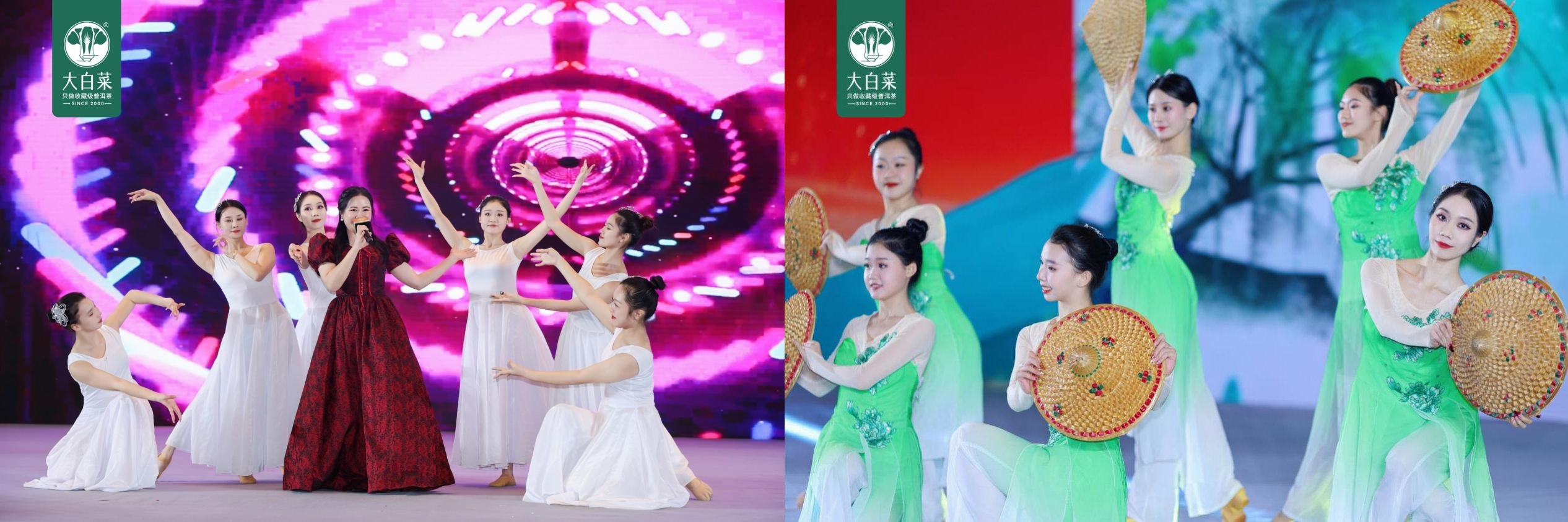 聚才启航 共迎百财——大白菜普洱茶2024年度盛典