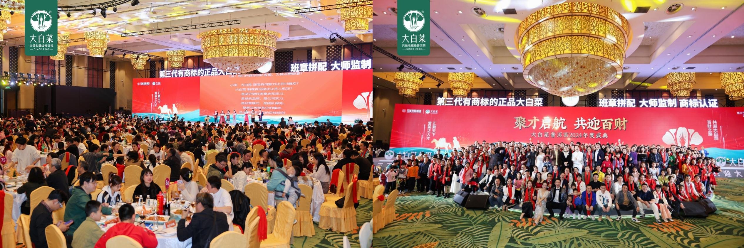 聚才启航 共迎百财——大白菜普洱茶2024年度盛典