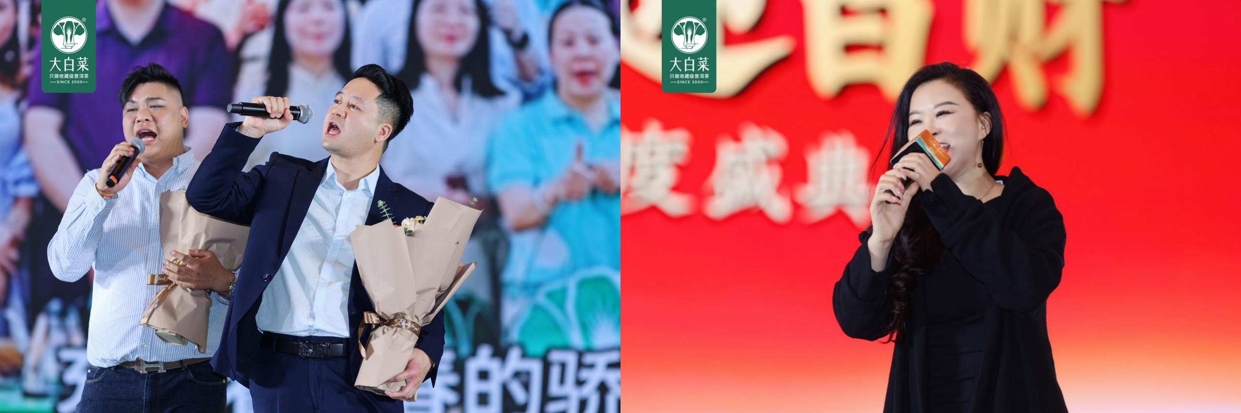 聚才启航 共迎百财——大白菜普洱茶2024年度盛典
